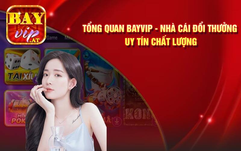Tong Quan Bayvip Nha Cai Doi Thuong Uy tIn Chat Luong